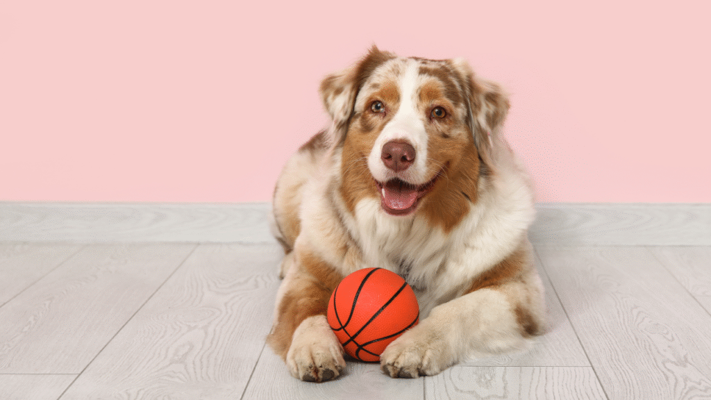 Are You Watching Me?