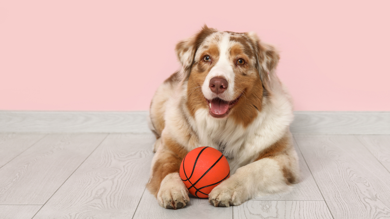 validation, external validation, seeking validation, approval, enough, self-worth, book launch, honest reflection, mindfulness, presence, ego, success and failure, recovery reflection, awakening with don