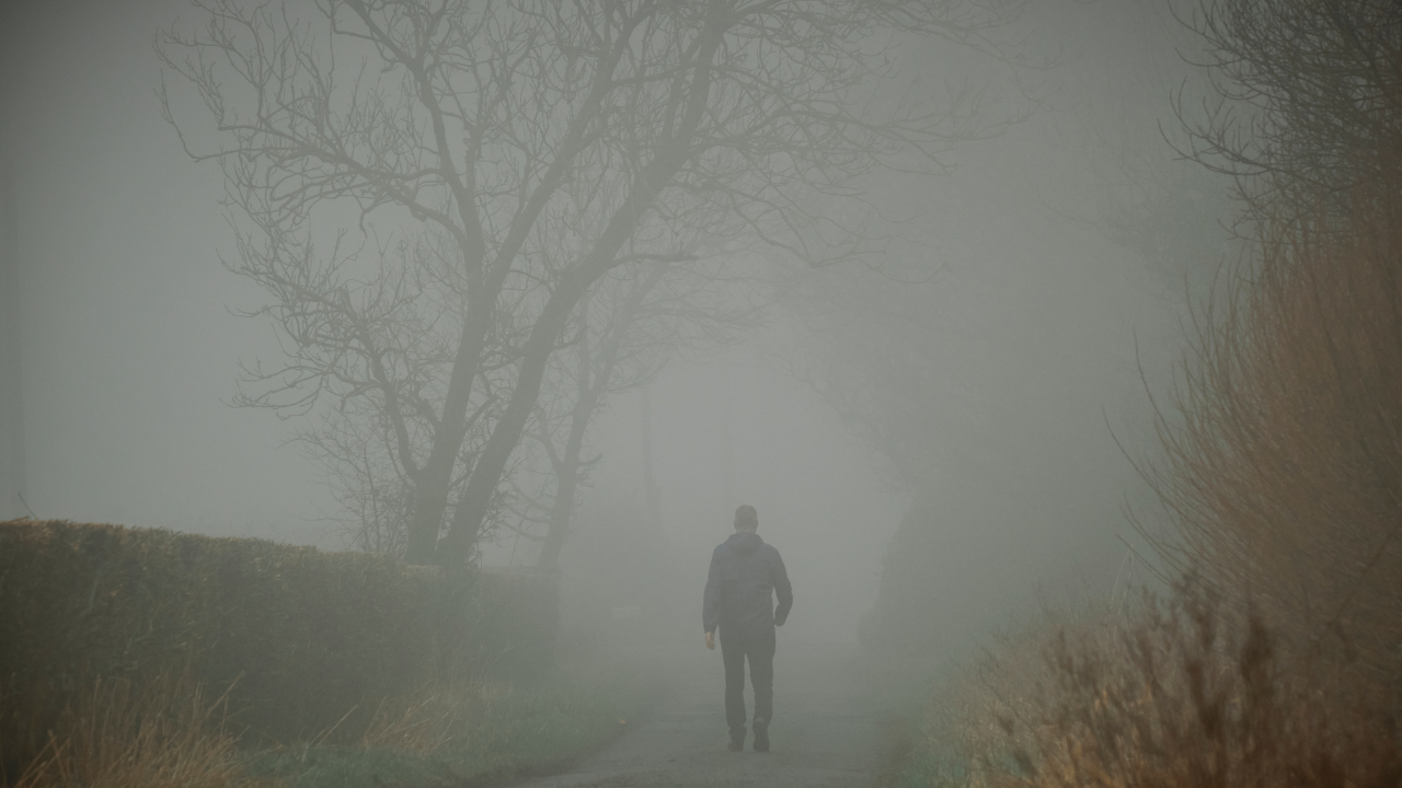 A solitary person walks down a fog-covered country road lined with bare trees, fading into the mist ahead. The scene conveys uncertainty, reflection, and the unseen parts of life's journey.