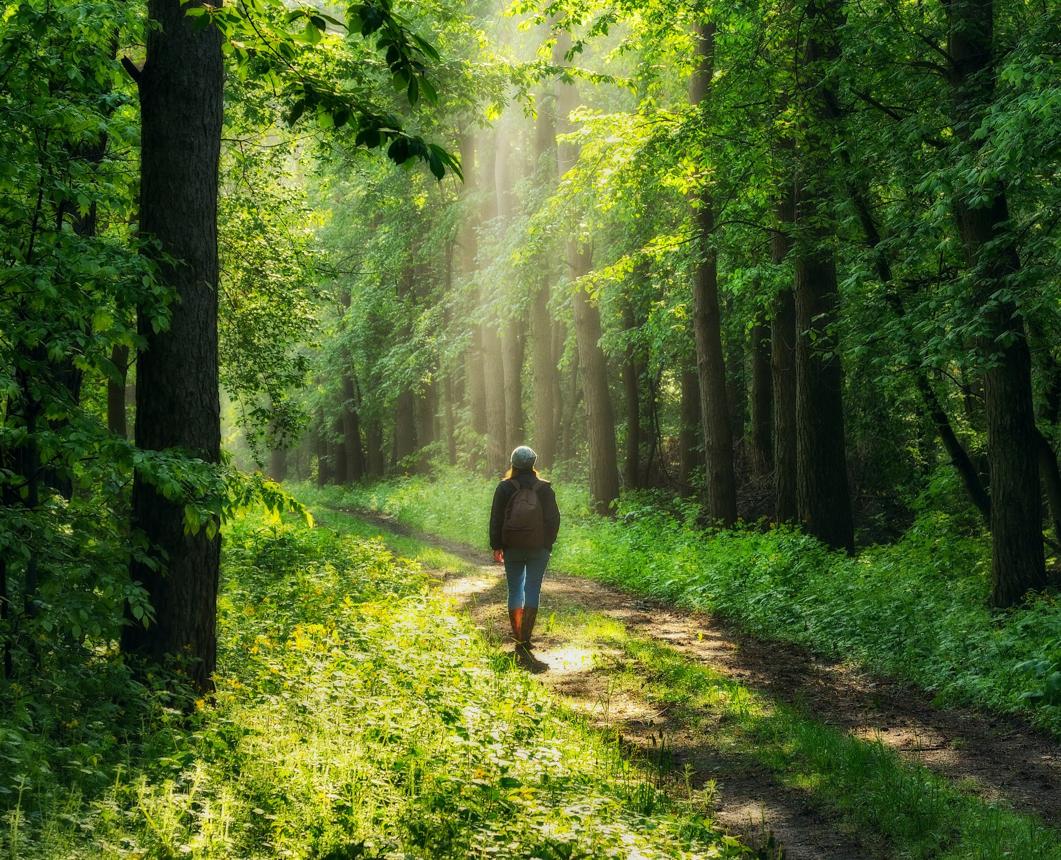 Person already walking down a quiet path, reflecting how small choices can move us toward change.